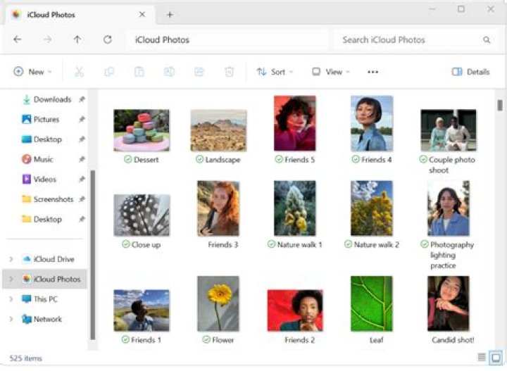 Can you view shared albums on iCloud com?
