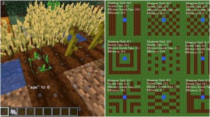 Does water make plants grow faster Minecraft?