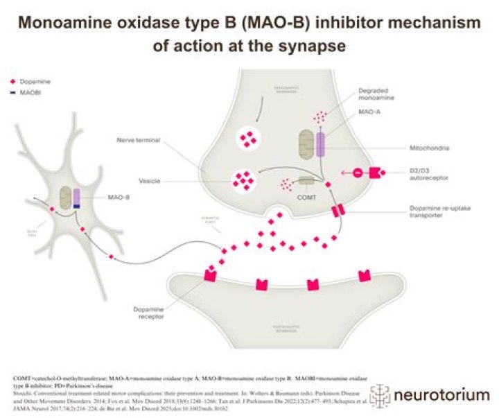 Is citalopram an MAO inhibitor?