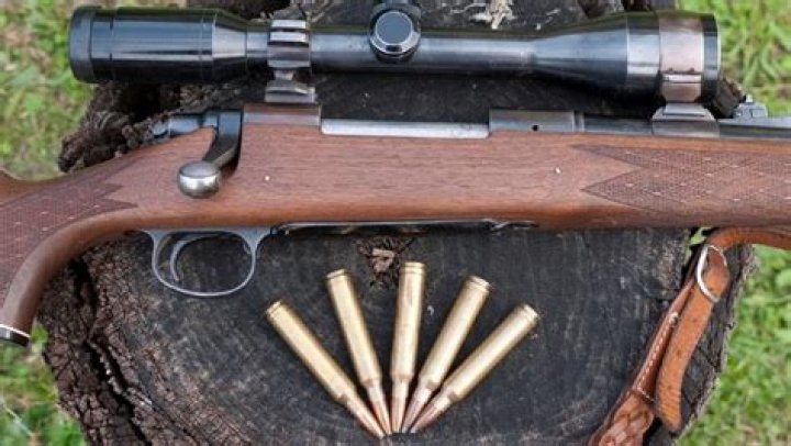 What's the best all around rifle caliber?