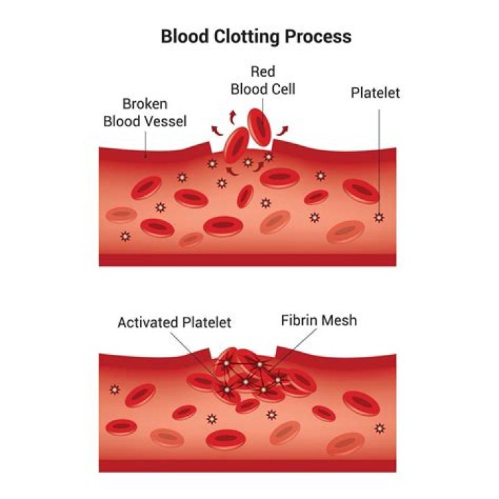 What blood cells are needed for clotting process?