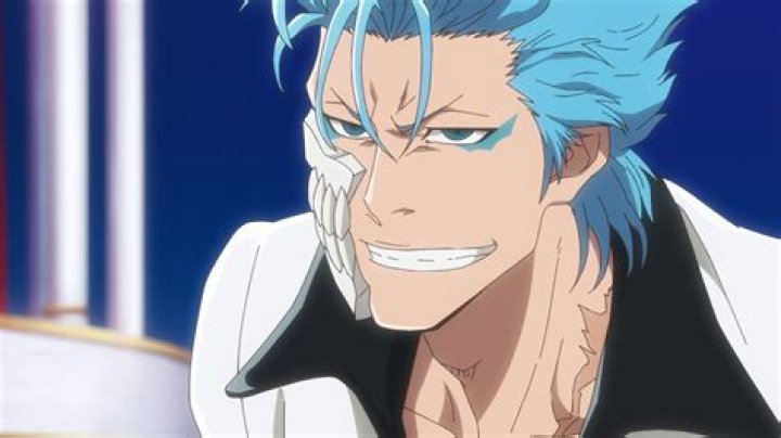 What episode Ichigo vs grimmjow?