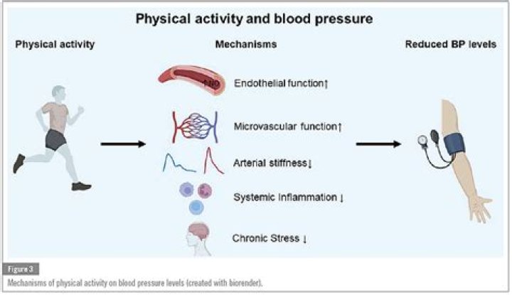 What happens if you do strenuous activity after giving blood?