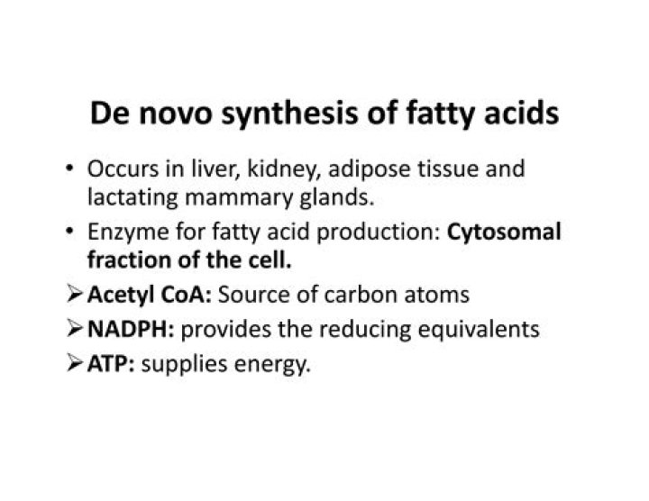 Where does de novo synthesis of fatty acids occurs?