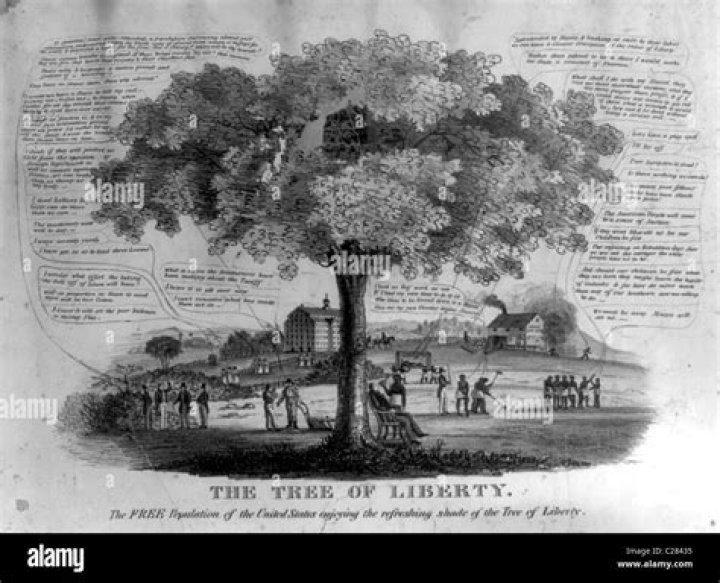 Who said the tree of liberty?